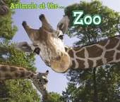 Animals I Can See Pack A of 4