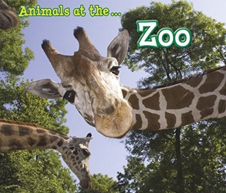 Animals I Can See Pack A of 4