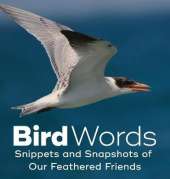 Bird Words: Snippets and Snapshots of Our Feathered Friends