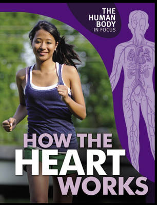 The Human Body in Focus: How The Heart Works