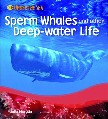 Sperm Whales and Other Deep Water Life