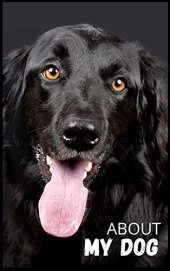 About My Dog - Black