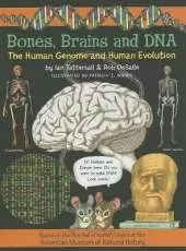 Bones, Brains and DNA Volume 1: The Human Genome and Human Evolution