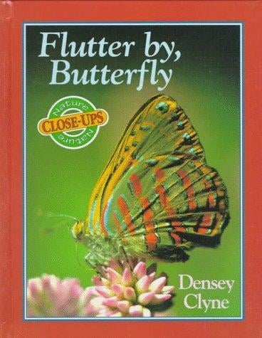 Flutter by, Butterfly
