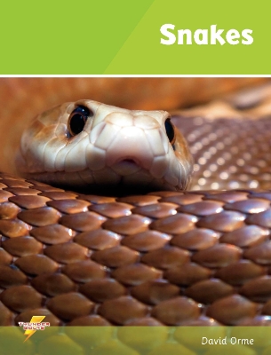 Snakes: Set 1