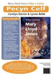 Pecyn Celf Mary Lloyd Jones: Enfys O Liwiau