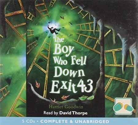 The Boy Who Fell Down Exit 43