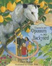 There's an Opossum in My Backyard