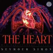 The Heart: Our Circulatory System