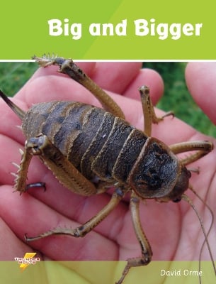 Big and Bigger: Set 1