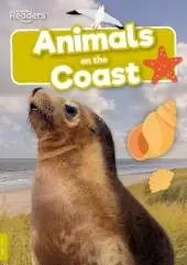 Animals on the Coast