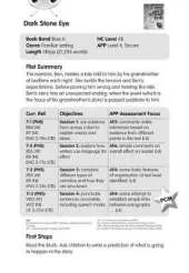 BC Blue (KS2) A/4B Dark Stone Eye Guided Reading Cards