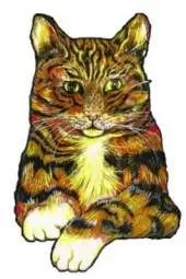 Surtsey the Cat