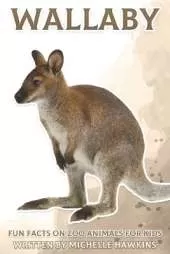 Wallaby: Fun Facts on Zoo Animals for Kids #15