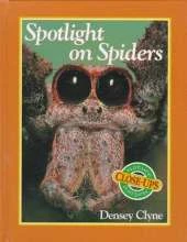 Spotlight on Spiders