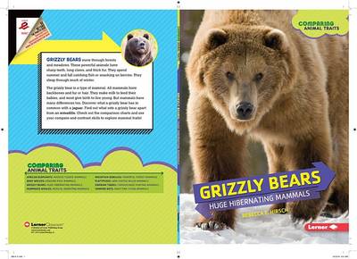Grizzly Bears: Hibernating Mammals