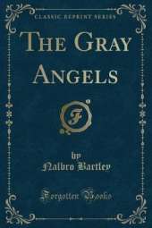 The Gray Angels (Classic Reprint)