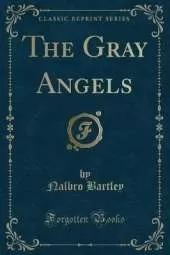 The Gray Angels (Classic Reprint)