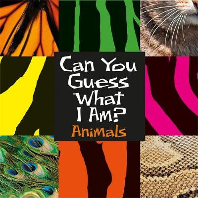 Can You Guess What I Am?: Animals