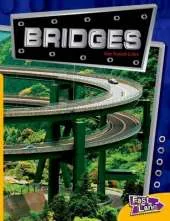 Bridges Fast Lane Yellow Non-Fiction