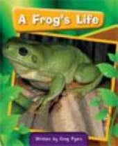A Frog's Life