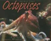 Octopuses