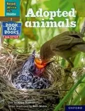 Read Write Inc. Phonics: Yellow Set 5 NF Book Bag Book 1 Adopted animals