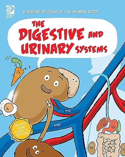 The Digestive and Urinary Systems
