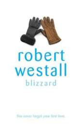 Blizzard