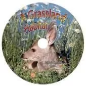 A Grassland Habitat