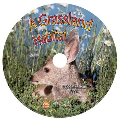 A Grassland Habitat