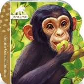 Chimpanzee