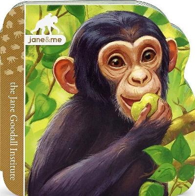 Chimpanzee