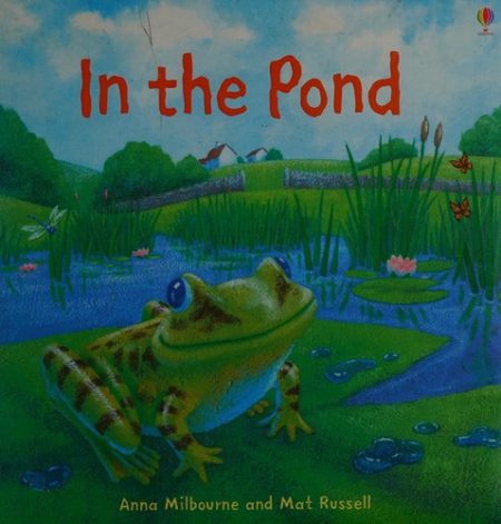 In The Pond