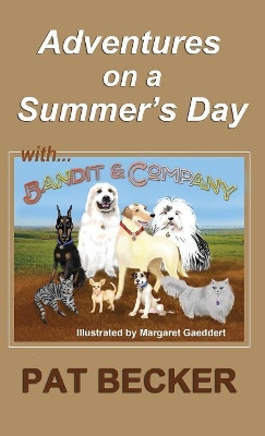 Adventures on a Summer's Day: (first of the Bandit and Company series)