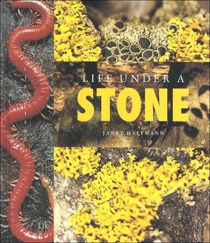 Life Under a Stone