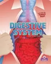 Digestive System