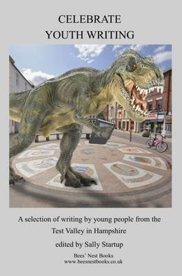 The Celebrate Youth Writing Anthology: A Selection of Writing by Young People from the Test Valley