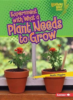 Experiment with What a Plant Needs to Grow
