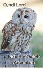 Nick the Owlet's Adventure