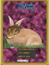 The Rabbit Says Ribbit: The World from a left handed point of view