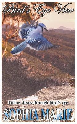 Birds Eye View: Following Jesus through Birds Eyes