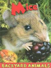 Mice