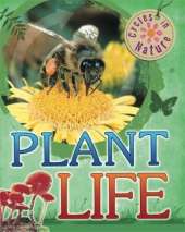 Cycles in Nature: Plant Life