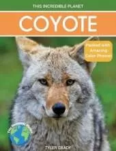 Coyote: Fascinating Animal Facts for Kids