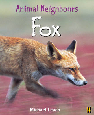 British Animals: Fox