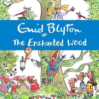 The Enchanted Wood: Book 1 - Discover the beloved series that inspired the family film The Magic Faraway Tree - in cinemas now!