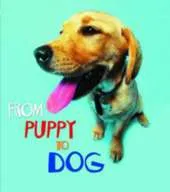 From Puppy to Dog