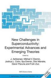 New Challenges in Superconductivity: Experimental Advances and Emerging Theories: Proceedings of the NATO Advanced Research Workshop, held in Miami, Florida, 11-14 January 2004