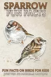 Sparrow Fun Facts